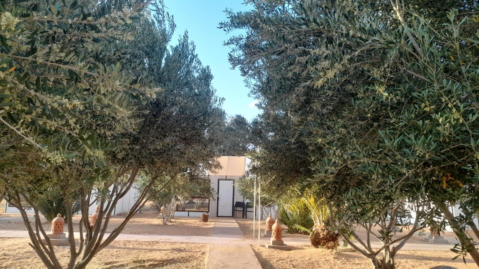 Trek Desert Morocco Sarl Taouz Exterior foto